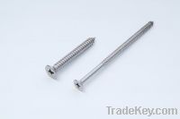 Sell stainless steel self tapping screws