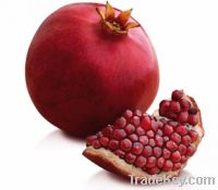 Sell Best Pomegranates With Best Price