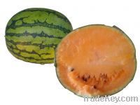 Sell - Yellow Watermelon