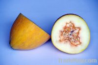 Sell - Ananas Melon