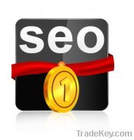 SEO promotion service for higher ranking