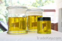 Sell MORINGA OIL / MORINGA OLEIFERA SEEDS