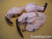 Sell FROZEN CONCH MEAT