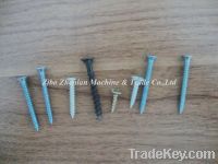 Sell all kinds screws