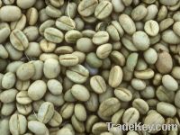 Export Coffee Beans | Arabica Coffee Beans Suppliers | Robusta Coffee Beans Exporters | Coffee Bean Traders | Wholesale Coffee Beans | Buy Coffee Beans | Bulk Coffee Bean | Green Coffee Bean Buyer | Low Price Roasted Coffee Bean | Import Coffee Bean | Cof