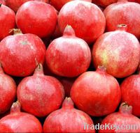 Pomegranate  Extract Ellagic Acid