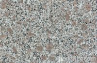 Granite slab