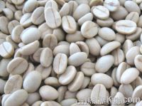 Export Coffee Beans | Arabica Coffee Beans Suppliers | Robusta Coffee Beans Exporters | Coffee Bean Traders | Wholesale Coffee Beans | Buy Coffee Beans | Bulk Coffee Bean | Green Coffee Bean Buyer | Low Price Roasted Coffee Bean | Import Coffee Bean | Cof
