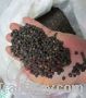 Sell Black pepper with good price - Pacific Production Co.
