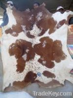 Wet salted cow hides for sale