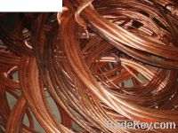 Copper Scraps Suppliers | Copper Scrap Exporters | Copper Scrap Manufacturers | Cheap Copper Scrap | Wholesale Copper Scraps | 99.99% Copper Scrap| Mulberry Copper Scrap | Cheap Copper Scrap | High Purity Copper Scrap | Bulk Copper Scraps | Copper Scrap B
