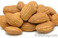 Almond Nuts for sale