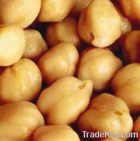 CHICKPEAS AVAILABLE IN STOCK FOR SHIPMENT