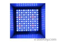 Sell  plant grow led