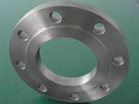 Stainless Steel Flanges/Custom Flange