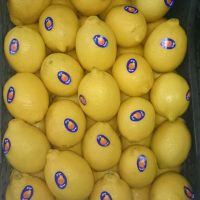 Fresh adalia lemon