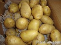 Sell fresh potato