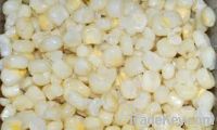 White Corn for sale