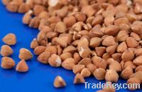 Sell buckwheat kerenels