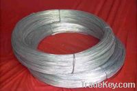 Sell  electro galvanized iron wire