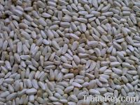 safflower seeds