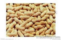 Sell peanut shell extract