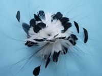 Sell  feather hair accessories