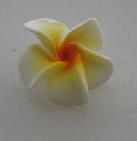 Sell foam plumeria Tiaras, hibiscus, plumeria (frangipani), gardenia,