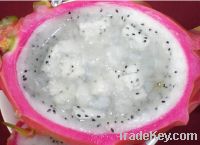 Sell Fresh Dragon Fruit Pitaya