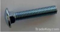 Stainless Steel Carriage Bolt