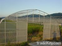 Sell greenhouse 6m width