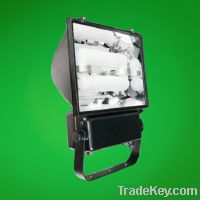 Sell  High Quality Energy Magnetic Induction Flood Light