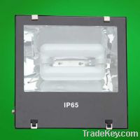 Hot Sale Induction Flood Light CE ROHS Low Factory Price