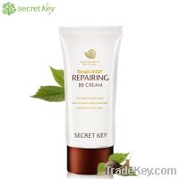 Secret Key Snail BB Cream