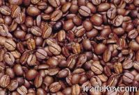 Export Coffee Beans | Arabica Coffee Beans Suppliers | Robusta Coffee Beans Exporters | Coffee Bean Traders | Wholesale Instant Coffee | Buy Coffee Beans | Bulk Coffee Bean | Green Coffee Bean Buyer | Low Price Roasted Coffee Bean | Import Coffee Bean | C