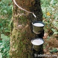 Sell natural latex rubber