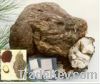 Sell Indian Buead Extract