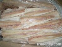 Sell Frozen Alaska pollock fillet IQF skinnless PBO (Latin name:Therag