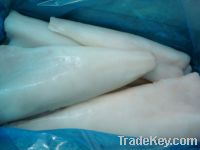 Sell Frozen Atlantic cod lightly salted fillet salt content 2% (Latin
