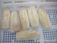 Sell Frozen Atlantic cod loins IQF (Latin name:Gadus morhua)