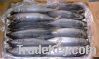 Sell Frozen Pacific mackerel Whole Round W/R (Latin name:Scomber japon
