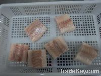 Sell Frozen Atlantic cod portions IQF skinnless PBO (Latin name:Gadus