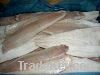 Sell Frozen saithe fillets IQF skinnless PBO size:200-400g (Latin name