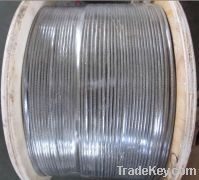 Sell 304 stainless steel jewelry wire nylon coated