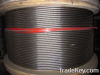 Sell 1x19 stainless steel wire rope
