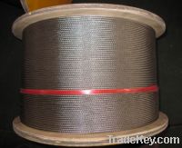 Sell 316l stainless steel cable