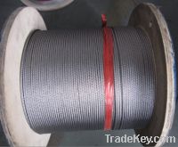 Sell 7x7 stainless steel wire rope