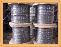Sell AISI316 7x7stainless steel wire rope 3.0mm