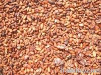 COCOA BEANS AND SUN FLOWER OIL FOR SALE