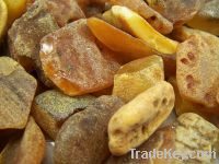 Sell Raw Baltic Amber